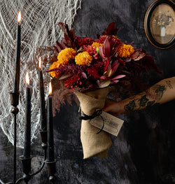Haunt