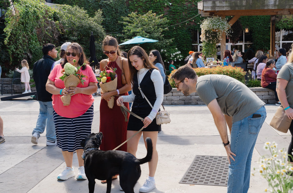 Past Flower Fest event