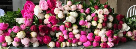  Shop Peony Hill Farm delivery 