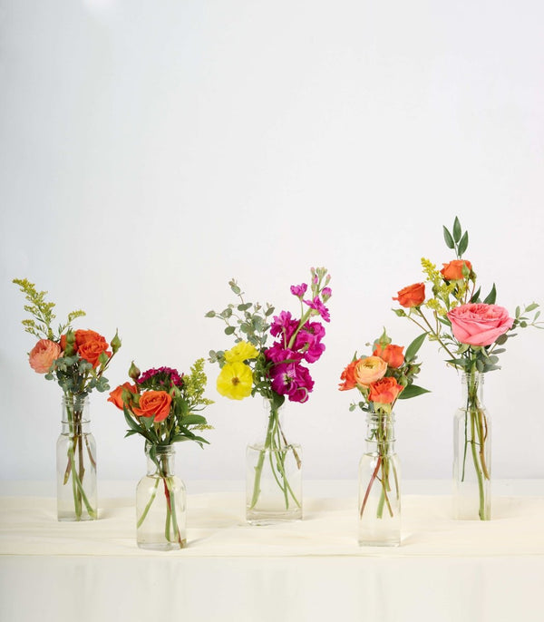 Bud Vase Seasonal Garden - Flowers for Dreams