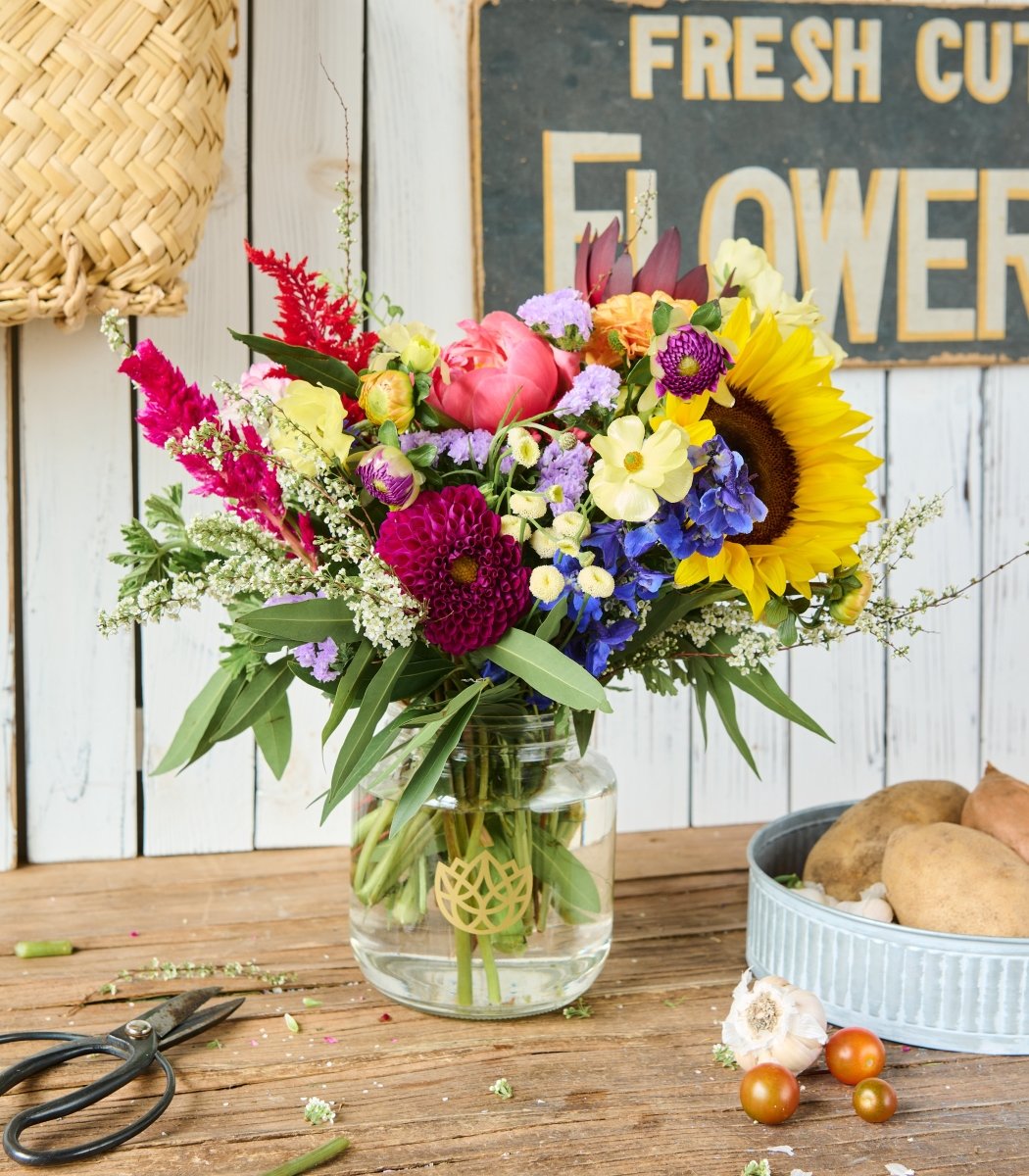 Cleveland Browns Cookie Pot Bouquet 