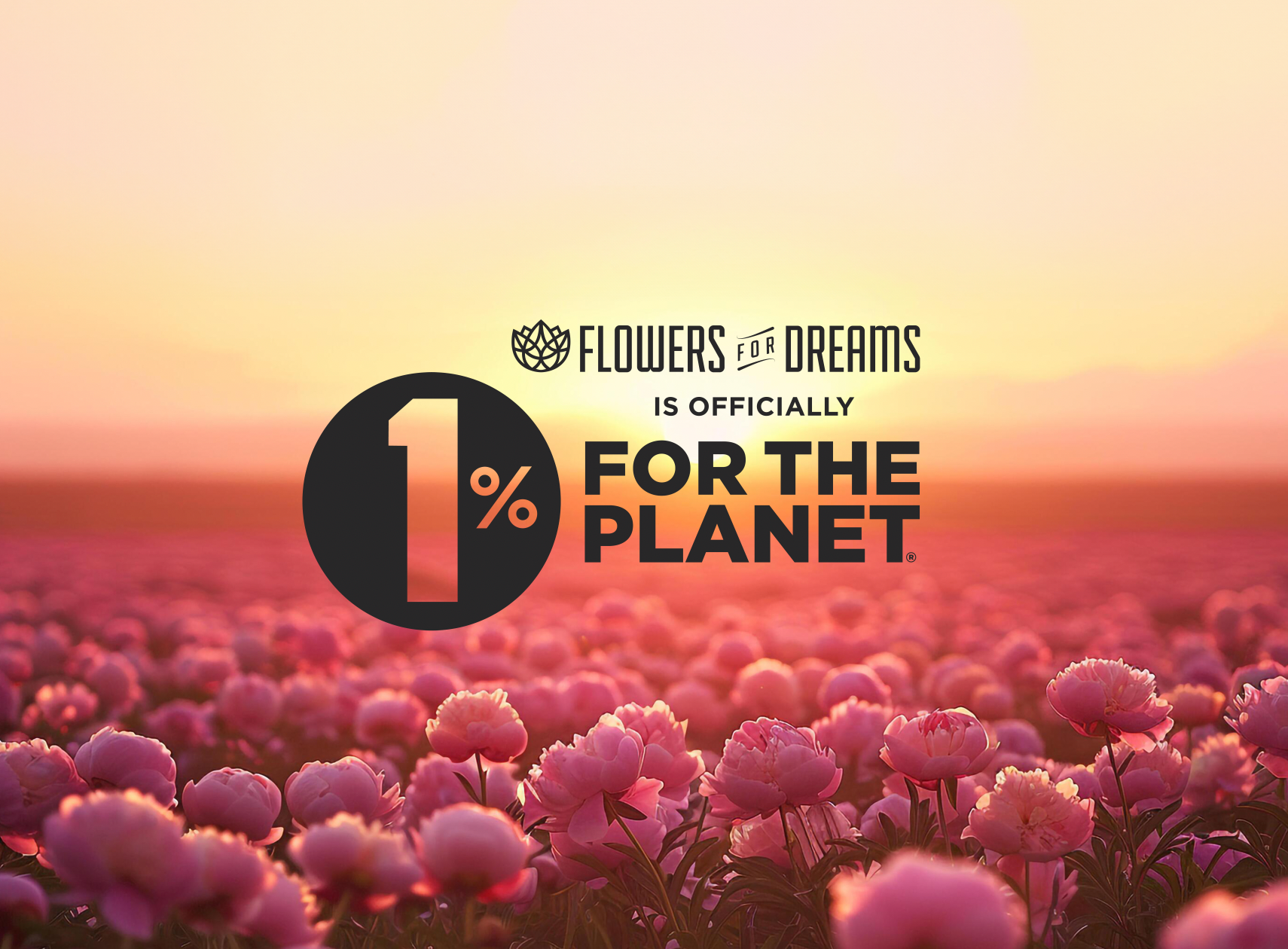 We Are 1% for the Planet 🌍