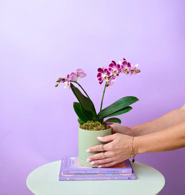 Home Decor Ideas with Fresh Flowers: Simple Ways to Elevate Any Space