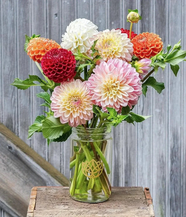 September Flowers: What's in Bloom and What to Send as Summer Ends
