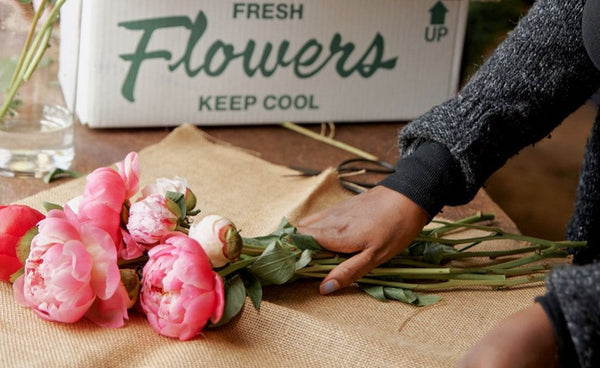 Peonies, Roses, and the Start of Summer: The Best June Flowers in Bloom