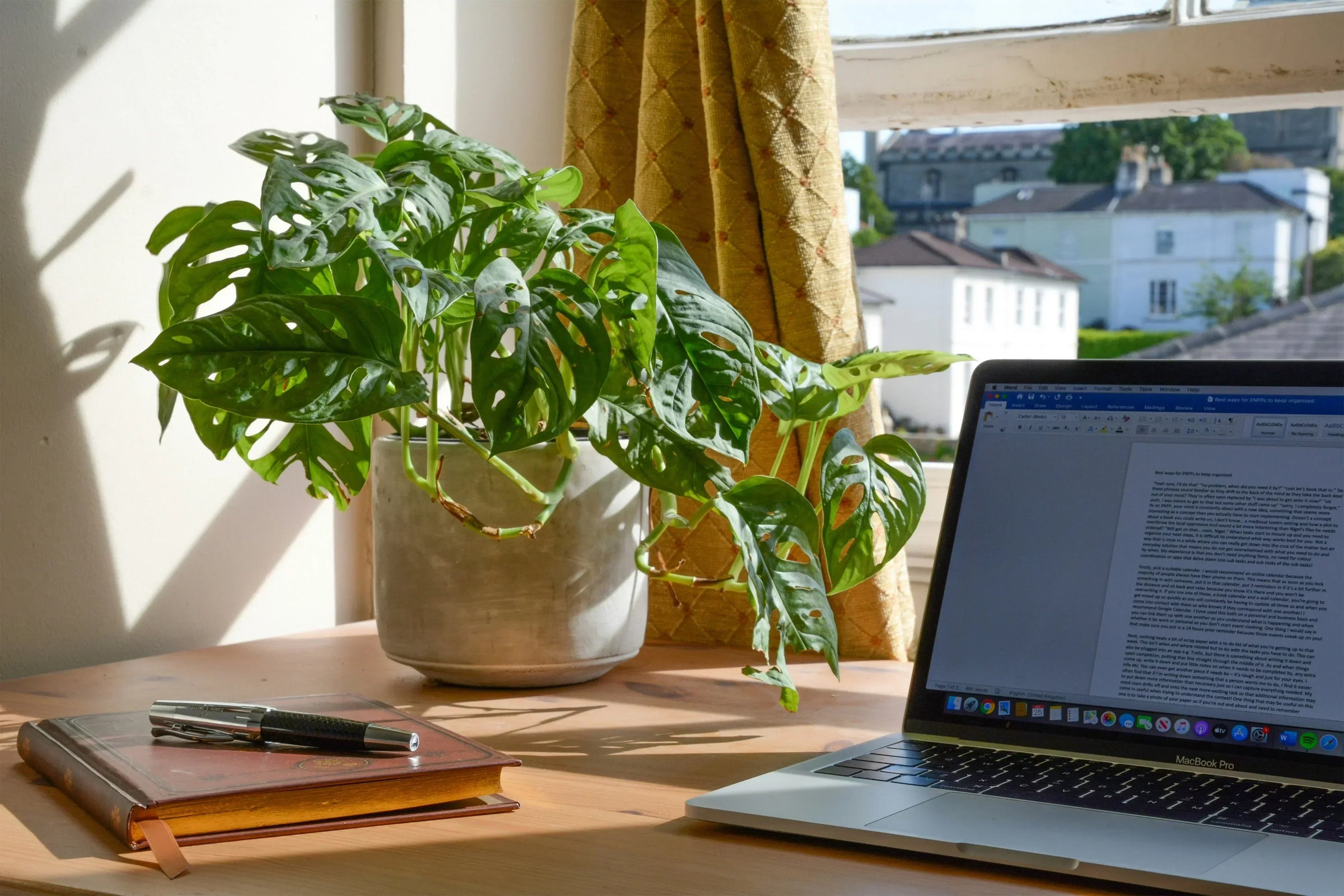 Monstera plant in a gray pot on an office desk beside a laptop, notebook, and pen.