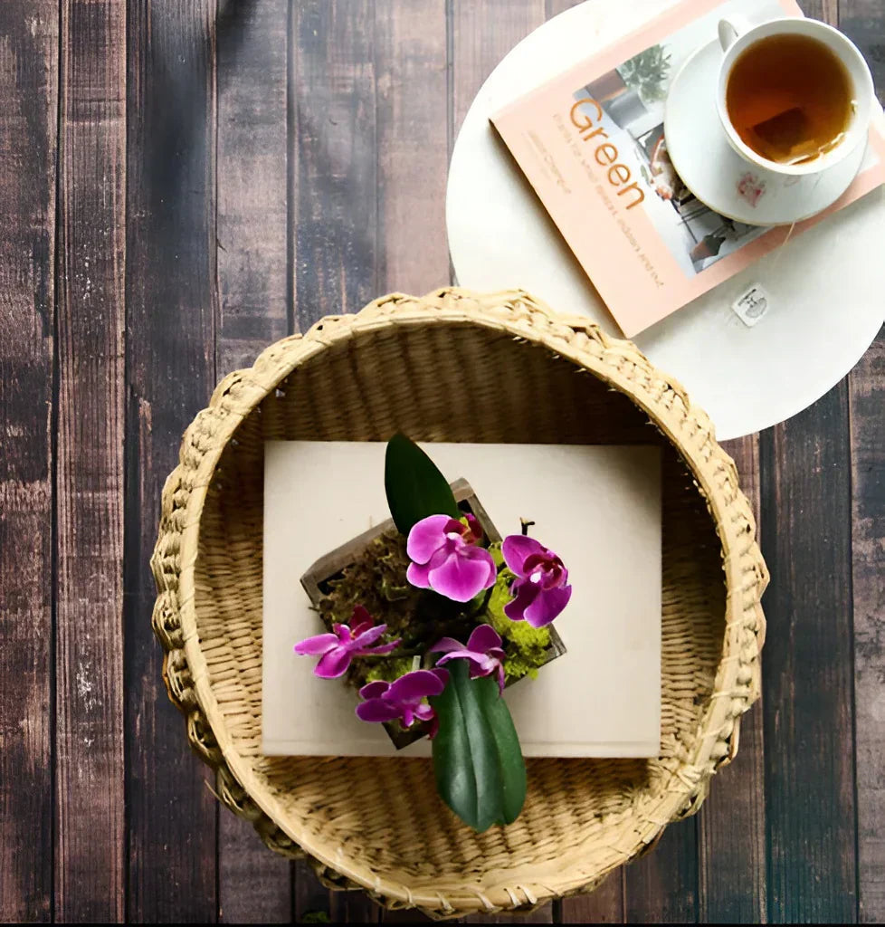 Mini orchid plant in a decorative pot beside a book and cup of tea, styled as an elegant indoor houseplant.