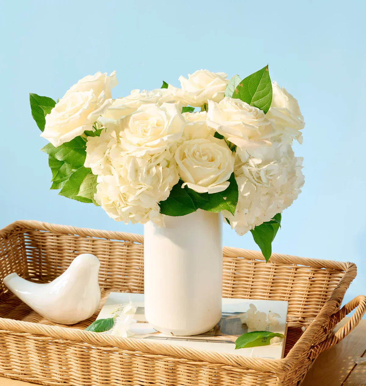 White rose arrangement in a white vase on a pastel backdrop
