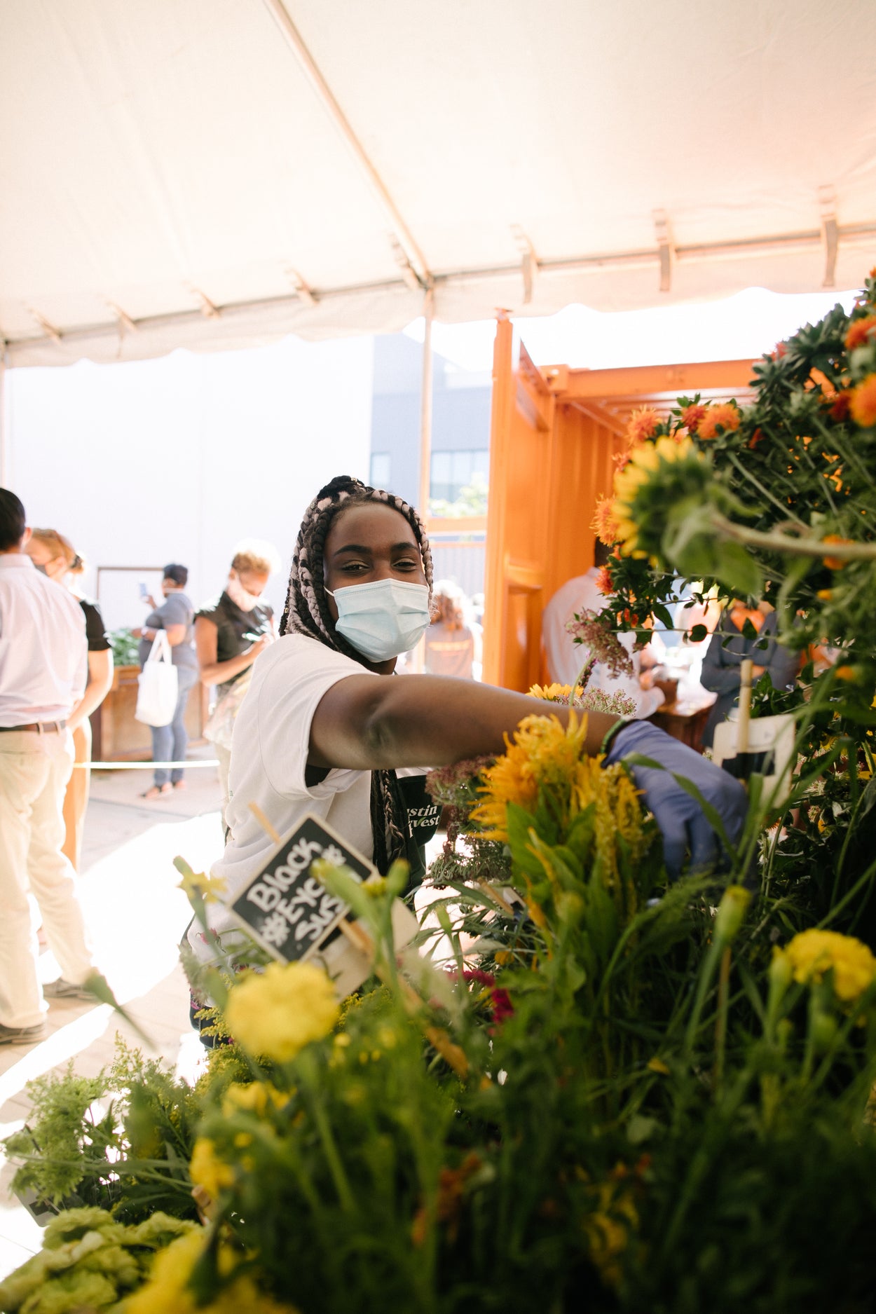 Flower Delivery Flowers for Dreams