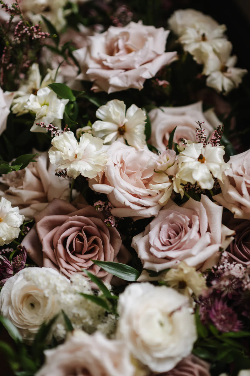 Flower for Dreams