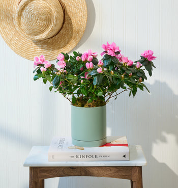 Pink azalea bouquet paired with “Best Mom” candle, perfect for thoughtful Mother’s Day gifts with local delivery.