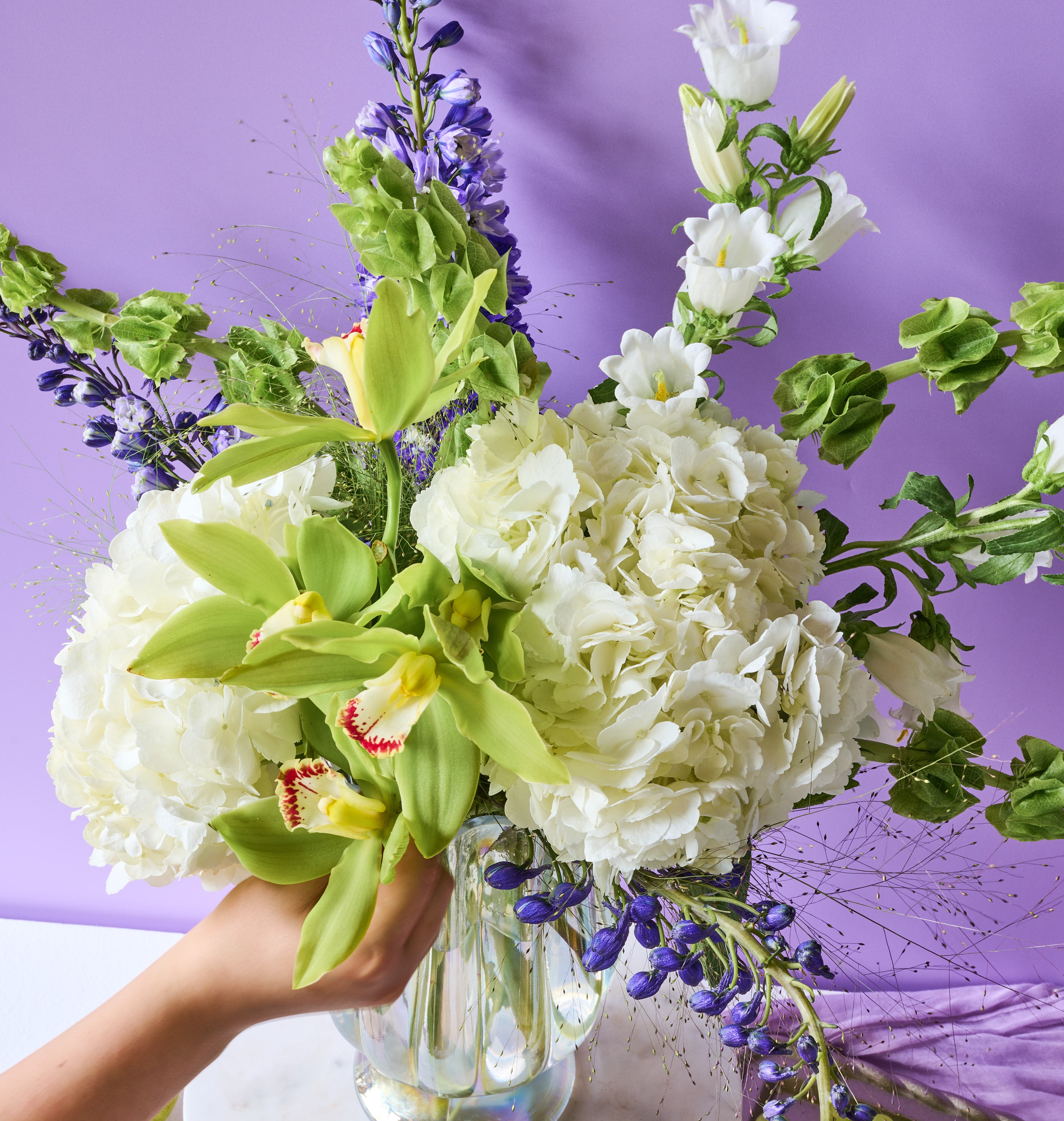 Botanica – White Hydrangea & Green Cymbidium Orchid Statement