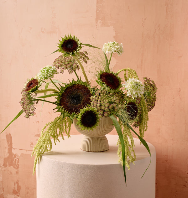 Muse floral arrangement of blush and coral garden roses, lisianthus, ranunculus, and eucalyptus in a white ribbed ceramic footed vase on soft neutral background