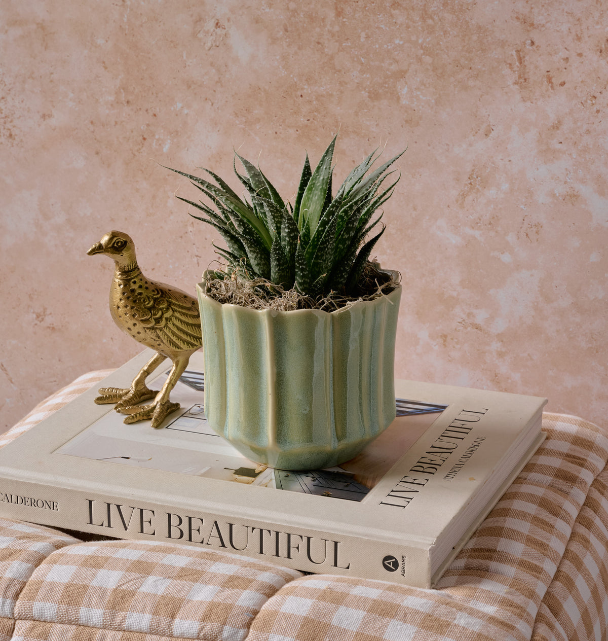 Small Haworthia succulent with spiky dark green spotted leaves in a sage green scalloped ceramic bowl on Live Beautiful coffee table book, with gold bird figurine, warm neutral background