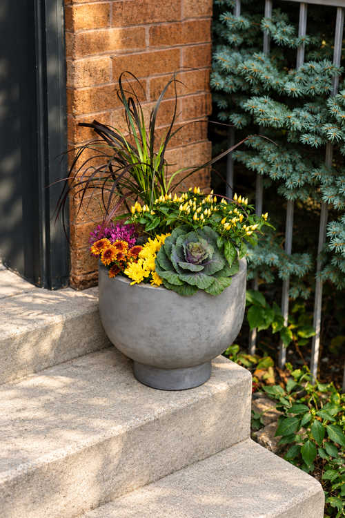 Porch Pot