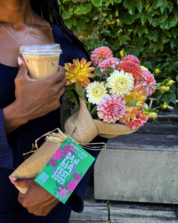 Dahlia Fest To-Go