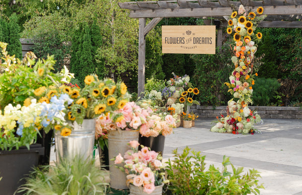 Flower Fest highlight