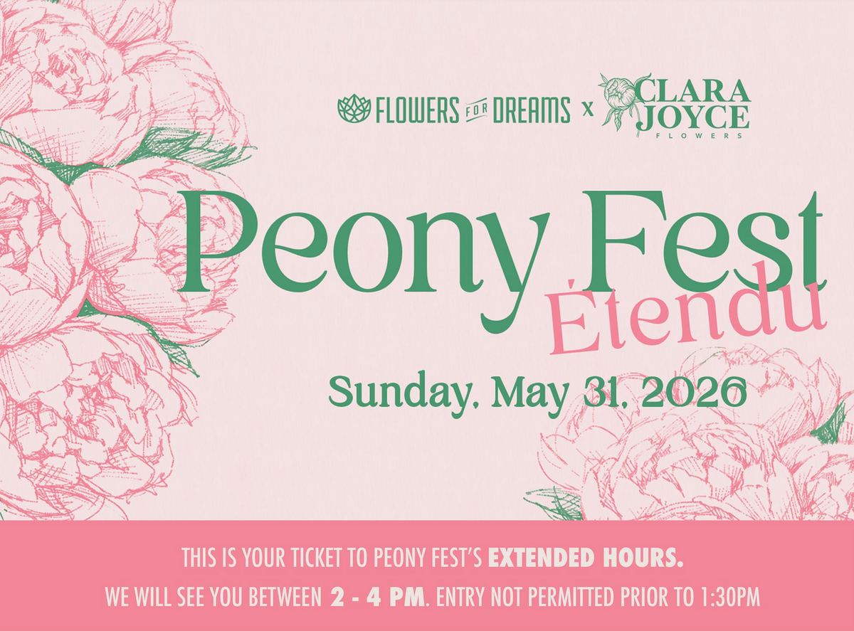 Peony Fest (EXTENDED)