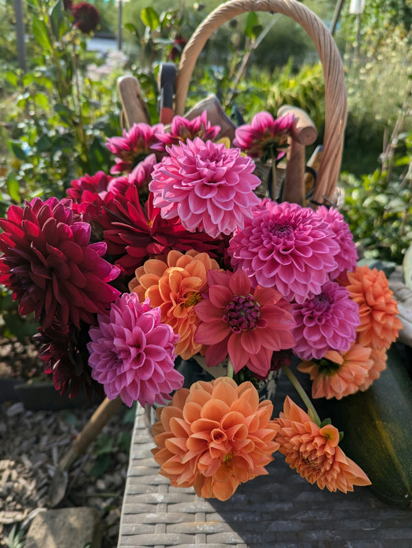 Flower Fest highlight