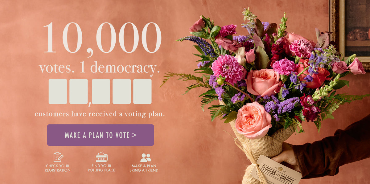 10,000 votes. 1 democracy.