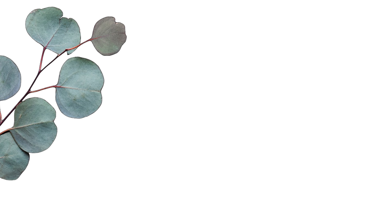 Career Opportunities Flowers for Dreams