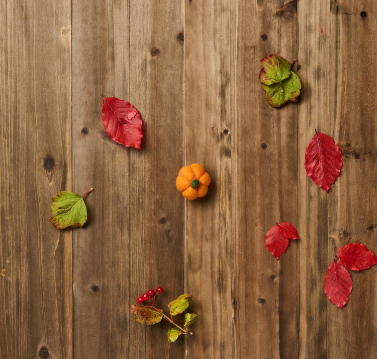 Fall Bundle - Flowers for Dreams