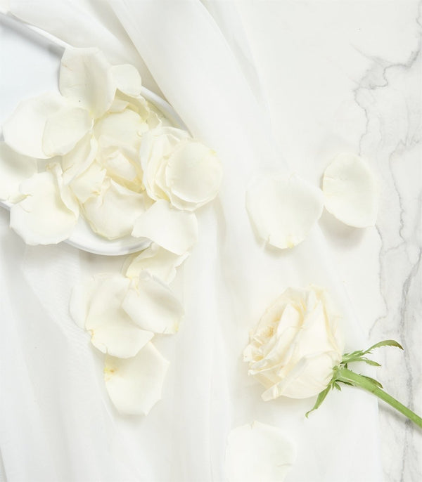 Rose Petals in Cream - Flowers for Dreams