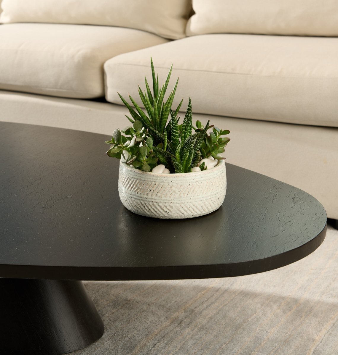 Succulent Coffee Table Subscription - Flowers for Dreams